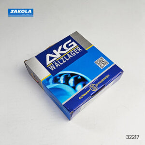 Bearing AKG Roda Hino Lohan (RR/OUT)
