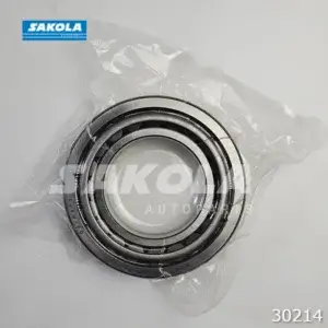 Bearing AKG Roda Mitsubishi PS136HDX (RR/IN)